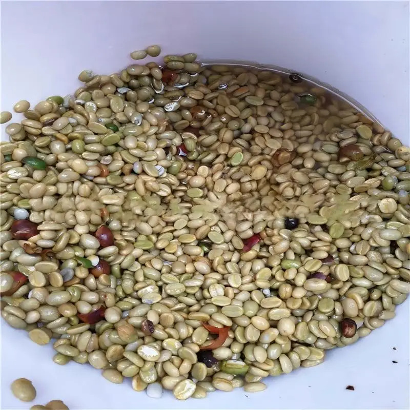 Mesin Pengolah Biji Kopi Stain - Coffee Equipment ulasan dan harga